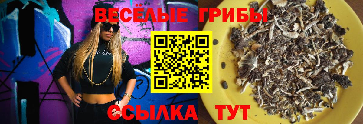 Псилоцибиновые грибы MAGIC MUSHROOMS Россошь